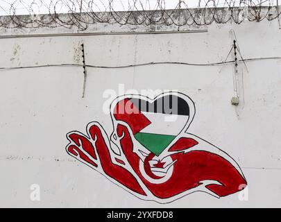 15 dicembre 2024: Biserta, Tunisia. 15 dicembre 2024. Un graffito di una bandiera palestinese cuore sul muro della prigione Borj Erroumi di Biserta, nel nord della Tunisia. I vari scritti e graffiti sul muro della prigione di Biserta sono opera dei detenuti della prigione. Il Carthage Film Festival (JCC) è un prestigioso evento culturale in Tunisia, con l'evento cinematografico di quest'anno che include un programma intitolato ''Palestine at the Heart of the JCC' (Credit Image: © Hasan mrad/IMAGESLIVE via ZUMA Press Wire) SOLO PER USO EDITORIALE! Non per USO commerciale! Foto Stock