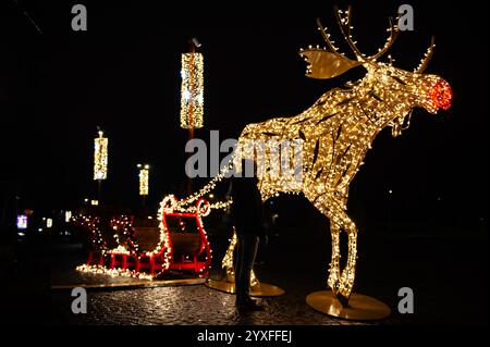 Nijmegen, Paesi Bassi. 15 dicembre 2024. Vista generale di una slitta illuminata trainata da una grande renna. Sculture di luce di diverse forme sono state collocate intorno al centro della città per celebrare il Natale. Quest'anno, un murale leggero ha onorato la vita degli artisti olandesi, Van Lymborch Brothers, nati a Nijmegen, a metà del XIV secolo. Credito: SOPA Images Limited/Alamy Live News Foto Stock