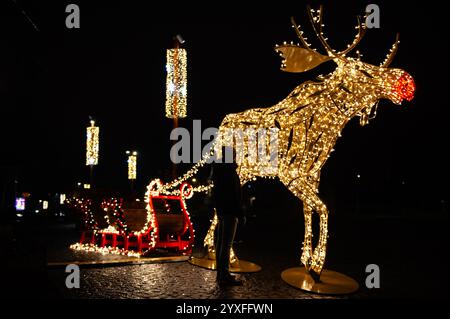 Nijmegen, Paesi Bassi. 15 dicembre 2024. Vista generale di una slitta illuminata trainata da una grande renna. Sculture di luce di diverse forme sono state collocate intorno al centro della città per celebrare il Natale. Quest'anno, un murale leggero ha onorato la vita degli artisti olandesi, Van Lymborch Brothers, nati a Nijmegen, a metà del XIV secolo. (Foto di Ana Fernandez/SOPA Images/Sipa USA) credito: SIPA USA/Alamy Live News Foto Stock