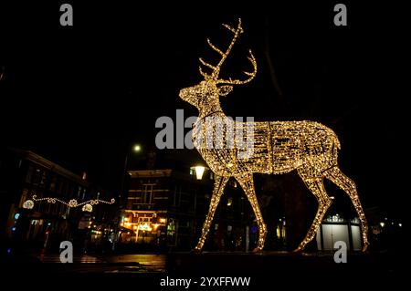 Nijmegen, Paesi Bassi. 15 dicembre 2024. Una scultura di renna illuminata che guarda al centro della città. Sculture di luce di diverse forme sono state collocate intorno al centro della città per celebrare il Natale. Quest'anno, un murale leggero ha onorato la vita degli artisti olandesi, Van Lymborch Brothers, nati a Nijmegen, a metà del XIV secolo. (Foto di Ana Fernandez/SOPA Images/Sipa USA) credito: SIPA USA/Alamy Live News Foto Stock