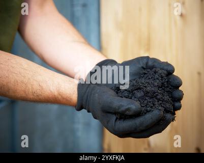 Coltivazione del carbonio, compost, terreno di inglobamento, mantenimento, coltivazione, stagione, substrato, ambientale, naturale, sporco, due mani in mano, sostenibilità, bio-cura, Foto Stock