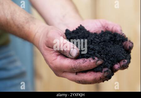 Coltivazione del carbonio, compost, terreno di inglobamento, mantenimento, coltivazione, stagione, substrato, ambientale, naturale, sporco, due mani in mano, sostenibilità, bio-cura, Foto Stock