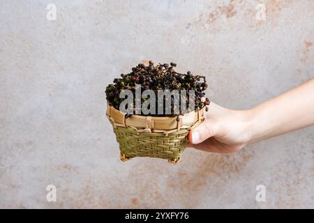Andaliman, tuba o itir-itir, questa spezia in Indonesia è conosciuta solo per la cucina di Batak, quindi è conosciuta da persone al di fuori di questa zona come il pepe di Batak Foto Stock