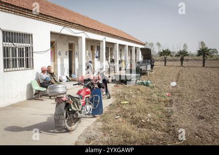 Allevamento di anatre, Jiang su Salted Duck Farming Co Ltd, Xiang Shui County, Cina, Asia Foto Stock