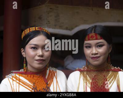 Donne in abiti festivi tradizionali, Tana Toraja, Sulawesi, Indonesia, Asia Foto Stock