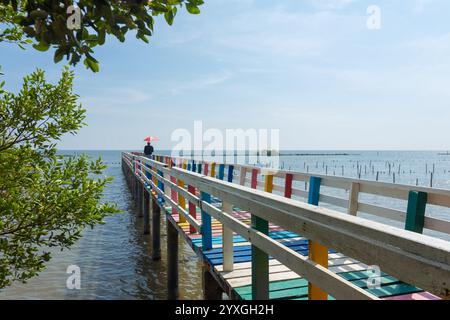 Ponte colorato in legno arcobaleno, una comunità costiera vicino a Wat Kaew Mongkol e Ban Chay Talay Kalong School, Mangrove Conservation area Samut Sakhon Foto Stock