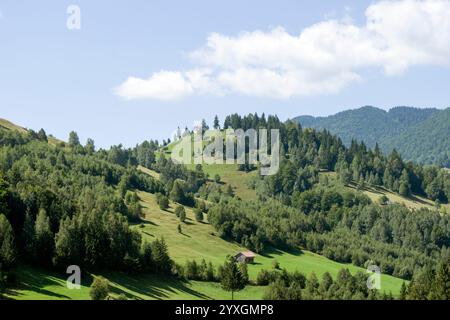 Splendido paesaggio naturale in estate: Verdi colline coperte di boschi e prati verdi, alberi sparsi e un piccolo cottage. Foto Stock