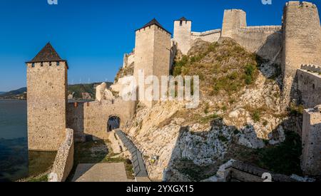 Vista pomeridiana estiva della fortezza medievale di Golubac restaurata, del trdava Golubac sulla riva del Danubio in Serbia per la Jugoslavia Foto Stock