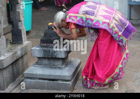 Pellegrino che prega al tempio Kapaleeshwarar di Chennai, Tamil Nadu, India Foto Stock
