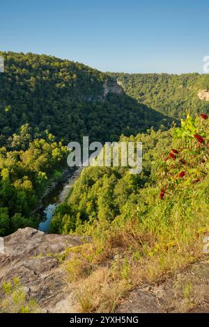 Visto dalla sporgenza rocciosa alta 300 metri sul punto panoramico di Crow Point, il Little River taglia il canyon della National Preserve in Alabama Foto Stock