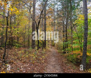 Un percorso escursionistico si snoda attraverso il vivace fogliame autunnale dell'Indian Springs State Park, il più antico parco statale della Georgia. Foto Stock