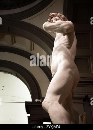 Michelangelos David Sculpture Low Angle girato alla Galleria dell'Accademia Foto Stock