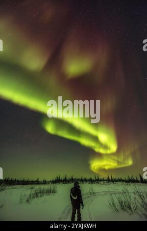 Un selfie di aurora sotto l'arco dell'aurora boreale a Churchill, Manitoba, Canada. Foto Stock