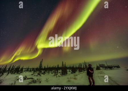 Un selfie di aurora sotto l'arco dell'aurora boreale a Churchill, Manitoba, Canada. Foto Stock