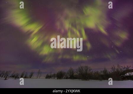 Esposizione pulsante di raggi auricolari nel cielo nel sud dell'Alberta, Canada. Foto Stock