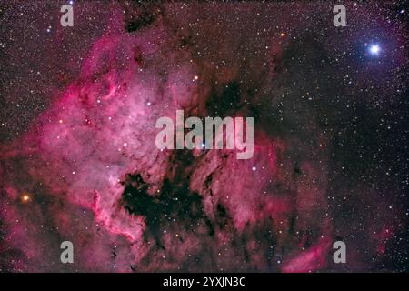 La Nebulosa del Nord America, NGC 7000 e la sua compagna Nebula Pelican. Foto Stock