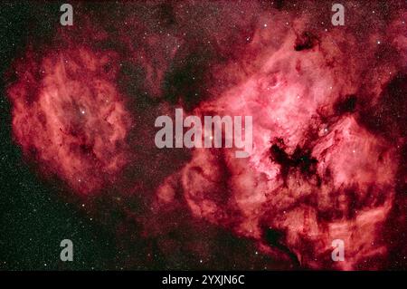 Nebulosa nordamericana, nebulosa pelicana, nebulosa conchiglia e nebulosità a Cygnus. Foto Stock