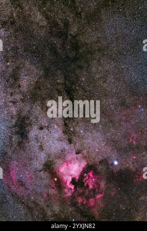 Cygnus settentrionale con la Nebulosa del Nord America, la Nebulosa Pelicana e la Nebulosa delle nuvole a imbuto. Foto Stock