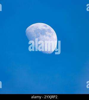 Vista della luna con i suoi crateri visibili in un cielo blu al tramonto. Foto Stock