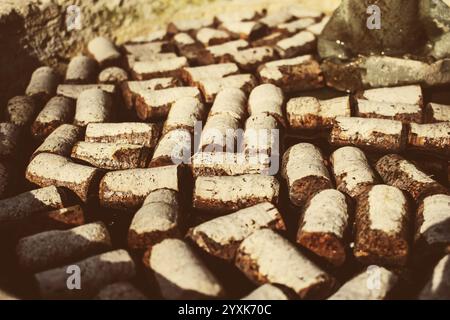 Una vista di un'antica fontana con pezzi di sughero di vino sbiadito che galleggiano sulla superficie dell'acqua. Foto Stock