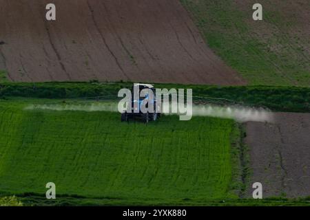 Vista aerea del trattore che spruzza il prodotto in campi verdi con pesticidi. Foto Stock