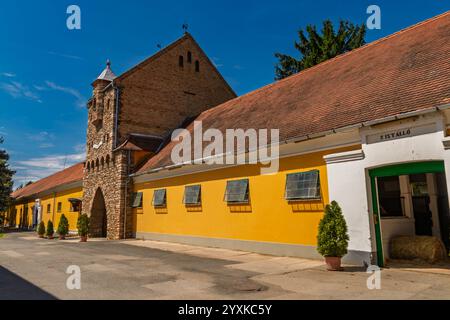 Stabile nel Babolna National Stud in Ungheria Foto Stock