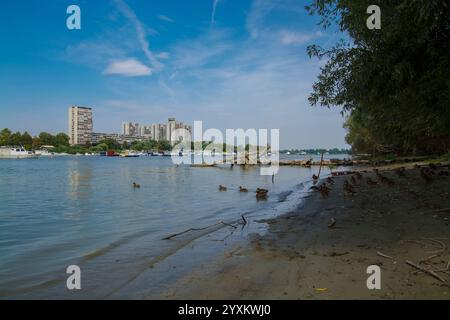 Isola della grande Guerra a Belgrado, vicino a Zemun in Serbia Foto Stock