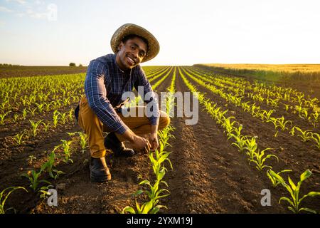 L'agricoltore africano sta esaminando le colture di mais sul campo. Agricoltore felice sorridente nel campo agricolo. Foto Stock