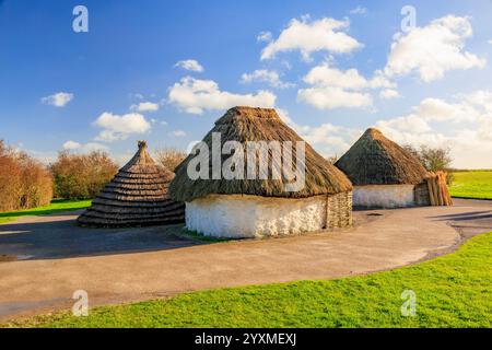Replica di case neolitiche con tetto in paglia fuori dal centro visitatori di Stonehenge sulla piana di Salisbury, ora un monumento antico programmato, Wiltshire, Inghilterra Foto Stock