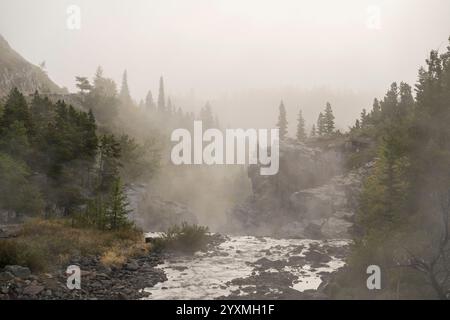 Misty River, Many Glacier, Glacier National Park, Montana, Stati Uniti Foto Stock