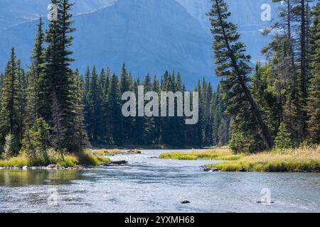 Stump Lake, Many Glacier, Glacier National Park, Montana, Stati Uniti Foto Stock