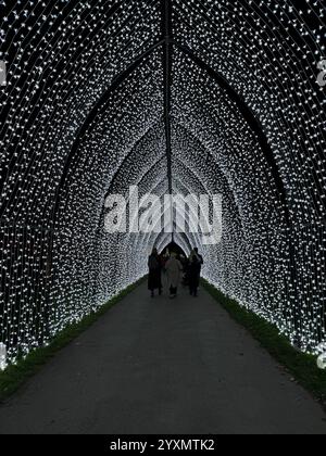 Luci di Natale a Kew Gardens, Londra, Regno Unito Foto Stock