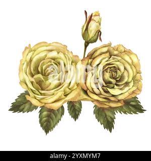 Piccolo bouquet di due rose gialle con boccioli, foglie verdi isolate su sfondo bianco. Modello di illustrazione botanica acquerello per matrimonio, birt Foto Stock