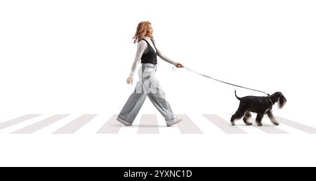 Donna asiatica che attraversa una strada con un cane schnauzer isolato su sfondo bianco Foto Stock