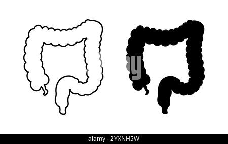 Intestino umano che mostra intestino crasso e tenue e appendice Illustrazione Vettoriale