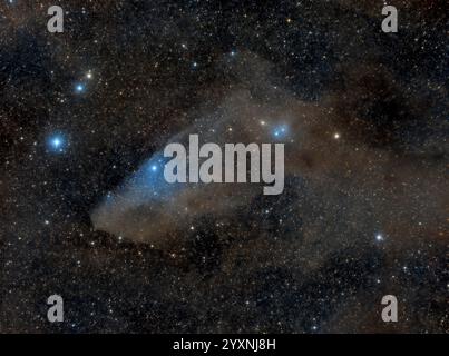 IC 4592, la Nebulosa del Cavaliere Azzurro nella costellazione dello Scorpio. Foto Stock