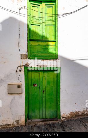 Una porta verde con un gatto seduto sopra. Il gatto guarda fuori dalla porta, forse sta guardando qualcosa fuori. La porta si trova su un edificio Foto Stock