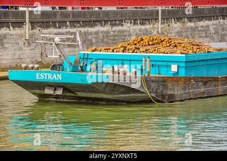 Maestoso commercio fluviale: Grandi chiatte sul Saône a Lione Foto Stock