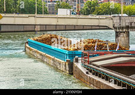 Maestoso commercio fluviale: Grandi chiatte sul Saône a Lione Foto Stock