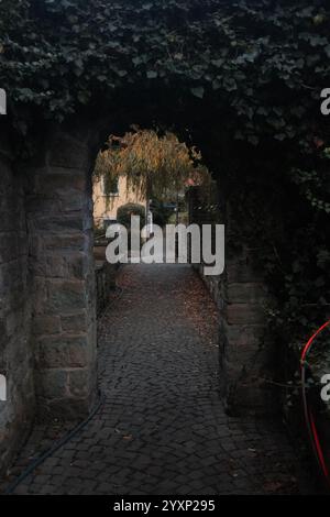 Un arco di pietra con edera che cresce sopra di esso. L'arco è scuro e l'edera è verde Foto Stock