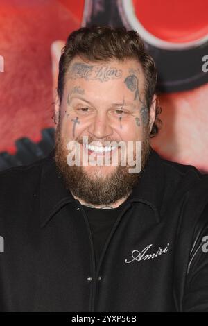 Los Angeles, Stati Uniti. 16 dicembre 2024. Jelly Roll alla premiere "Sonic the Hedgehog 3" tenutasi al TCL Chinese Theatre, Los Angeles, CA, 16 dicembre 2024. Foto: Joseph Martinez/PictureLux credito: PictureLux/The Hollywood Archive/Alamy Live News Foto Stock