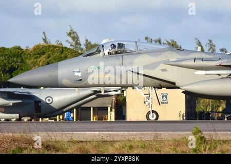 Un F-15C del 159th Fighter Wing con tre MIG Kill Marks. Foto Stock