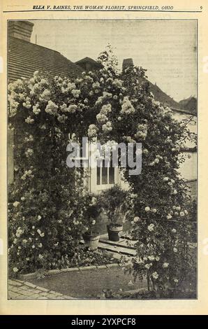 Miss Ella V. Baines la fioraia donna Springfield, Ohio Springfield, Ohio Baines 1924 fiori rose da giardino cataloghi di piante cataloghi di commercio ornamentale industria dei semi e storie di giardino commerciale in fiore, un incantevole scenario giardino presenta un bellissimo arcata adornata con una lussureggiante esposizione di rose arrampicate. I delicati fiori creano un contrasto sorprendente con la struttura robusta, che presenta sfumature di bianco e rosa tenue. A fianco dell'ingresso sono disposte in modo ordinato piante in vaso, che si aggiungono alla vibrante atmosfera dello spazio all'aperto. Sullo sfondo, un affascinante edificio con caratteristiche caratteristiche Foto Stock