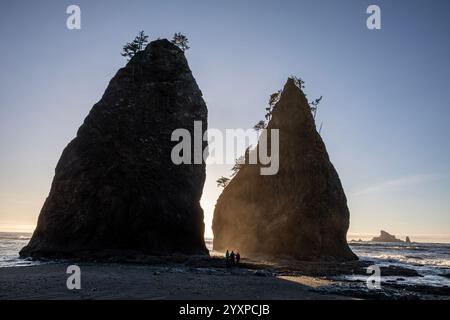 WA25964-00...WASHINGTON - nebbia al tramonto vista tra due fondali sulla costa del Pacifico a Rialto Beach nell'Olympic National Park. Foto Stock