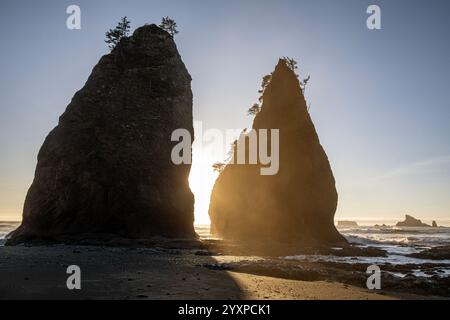 WA25965-00...WASHINGTON - nebbia al tramonto vista tra due fondali sulla costa del Pacifico a Rialto Beach nell'Olympic National Park. Foto Stock