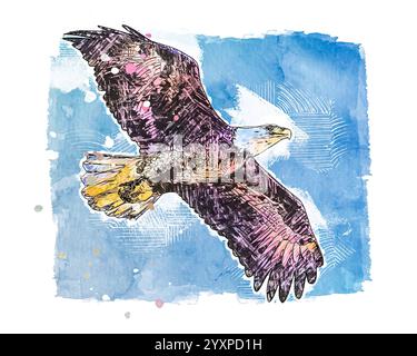 Aquila calva che vola in alto nel cielo. Con effetto verniciato. Foto Stock