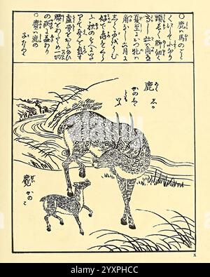 Encyclopédie japonaise Leyde, Paesi Bassi, Brill, 1875, Giappone, mammiferi, la scena raffigura un cervo e il suo fawn in un ambiente naturale. Il cervo, con intricati dettagli che enfatizzano i suoi motivi di pelliccia, si trova protestosamente vicino al fawn, che è più piccolo e sembra curioso. Sullo sfondo, un fiume che scorre si snoda attraverso un paesaggio lussureggiante, costellato di alberi e colline. Sopra, ci sono personaggi giapponesi che probabilmente forniscono il contesto o la narrazione relativi alla scena, aggiungendo un significato culturale alla rappresentazione della natura e della fauna selvatica. La composizione complessiva trasmette un senso di tenerezza e. Foto Stock