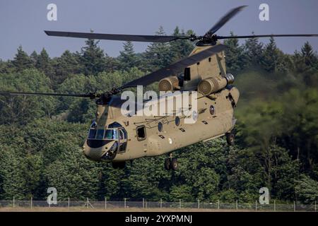 CH-47F della Royal Netherlands Air Force. Foto Stock