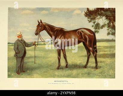 Il nuovo libro del cavallo, London, Cassell and Co, 1911 Horses Horsemanship Horse Sports, A Poised Horse si erge graziosamente in un lussureggiante campo verde, il suo mantello liscio luccicante alla luce. Il cavallo è posizionato in posizione eretta, trasuda un senso di eleganza e forza. In primo piano, un uomo vestito con un abbigliamento formale tiene un bastone e guarda il cavallo con ammirazione. Il suo cappello e il suo abito sartoriale sono un apprezzamento rispettoso per l'animale. Lo sfondo presenta un paesaggio sereno con alberi che incorniciano la scena, aggiungendo al fascino generale di questo momento tranquillo, evidenziando il legame tra ronzio Foto Stock