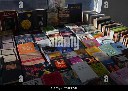 Tijuana, bassa California, Messico. 16 dicembre 2024. Occasionalmente usato Book Store 'Antiguo'' Fair presso una stazione degli autobus nel centro di Revolution Avenue del Tijuana Comprehensive Transportation System (STT) a Tijuana, Messico, lunedì 16 dicembre 2024. Su ciascuno degli scaffali, le persone possono trovare libri che spaziano dalla letteratura universale, classici vampiri e horror, romanzi di autori messicani, libri di storia, politica, economia e giornalismo, gastronomia e persino libri di edizioni di Once for Collector, e a prezzi accessibili, la fiera continuerà fino al fine settimana. (Immagine di credito: © Carlos A. Foto Stock